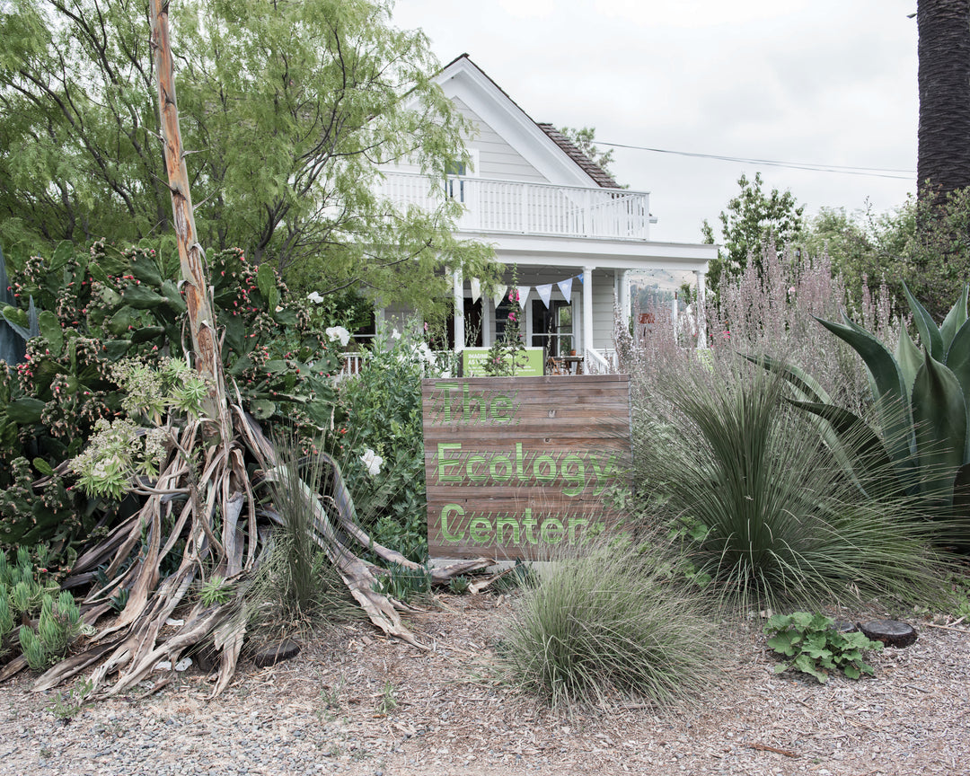 Earth Day at The Ecology Center