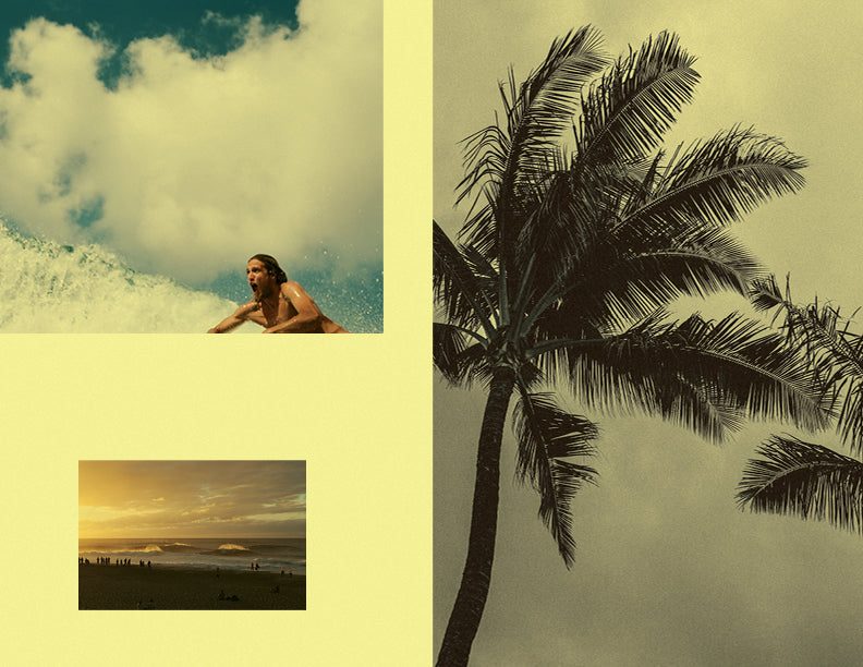 Vissla Palmera Express Zine - surf film print edition collectible photography art and surf road trip