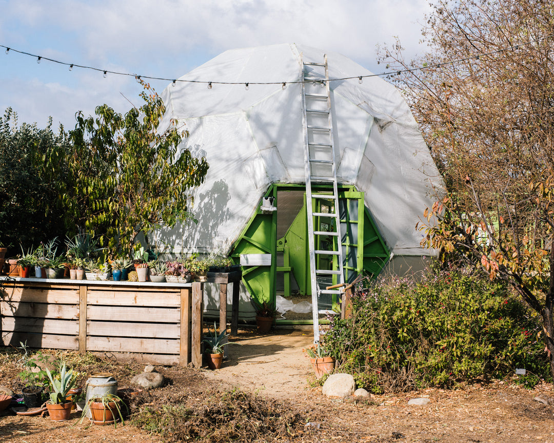 Small Talks | Evan Marks & The Ecology Center