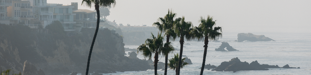 Palm trees and coastal cliffs on a misty California morning, setting the tone for Vissla's men's linen collection