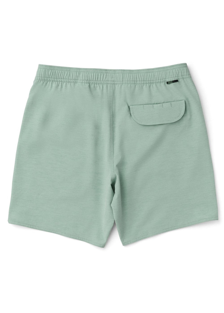 Vissla Breakers 16.5" Ecolastic in Aloe, view 2