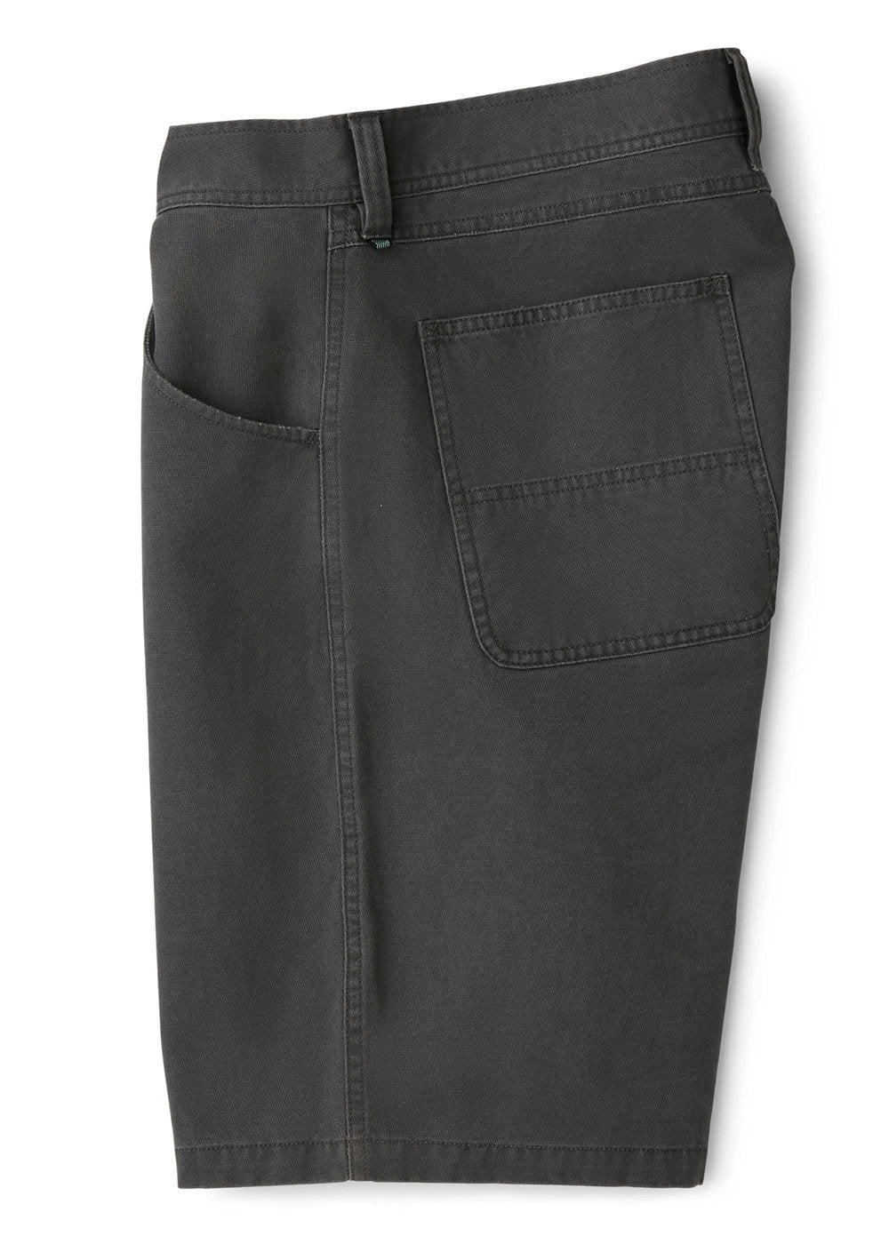 Pismo Painter 21" Walkshort